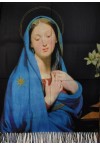 WOMEN'S PASHMINA / VIRGIN