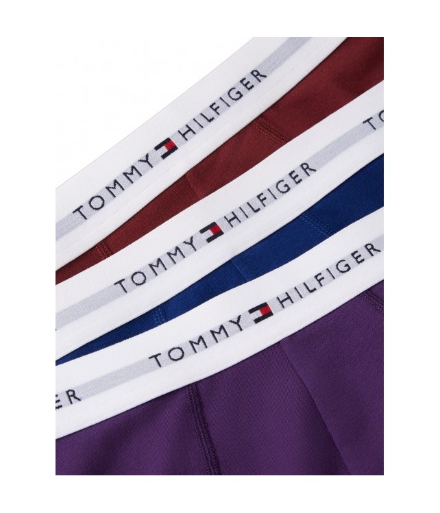 TOMMY HILFIGER ΑΝΔΡΙΚΑ ΜΠΟΞΕΡΑΚΙΑ ΣΕΤ 3 ΤΕΜΑΧΙΩΝ TRUNK MULTICOLOR